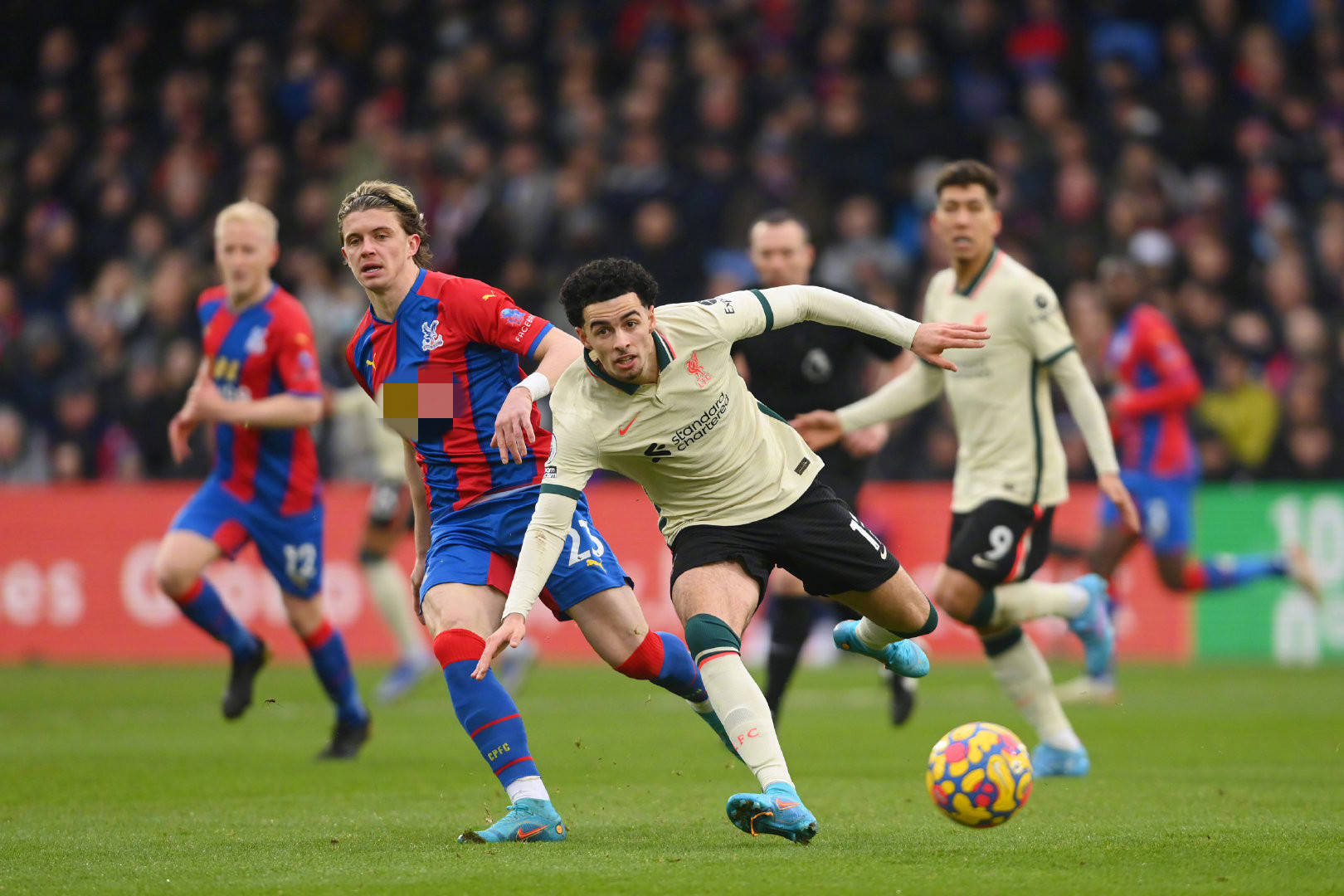 貢獻頗多 貢獻頗多